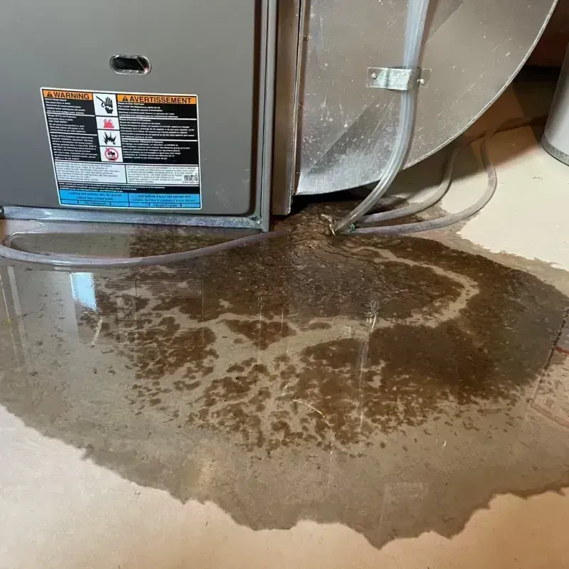 Appliance Leak Cleanup in Morganfield, KY